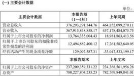 净利润下滑27.49% 上汽集团公布半年报