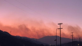 美加州山火致3人死亡 消防局：现在火势已控制