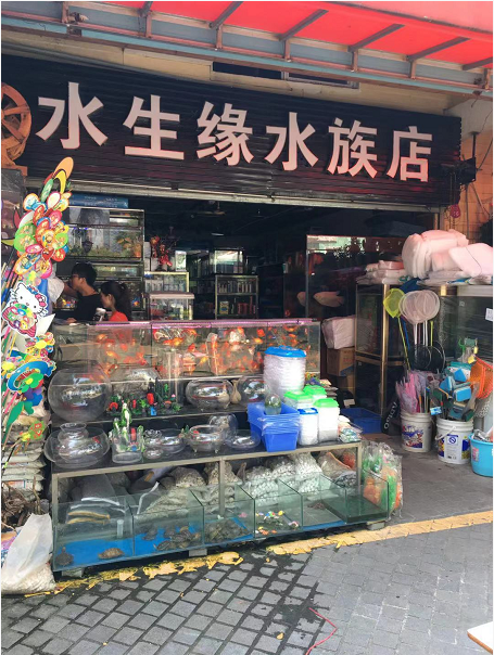 余德发 (水生缘水族馆) 荣获2019年度“最具人气水族馆”网络评选 三等奖