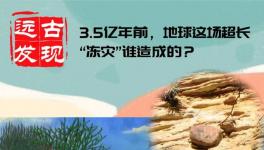 3.5亿年前，地球这场超长“冻灾”谁造成的？