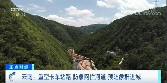 多辆渣土车待命 云南玉溪：建立防线 防止大象进城