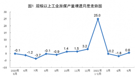 2021年5月份能源生产情况