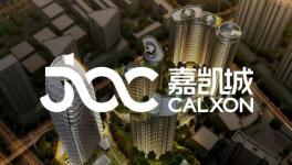 恒大转让嘉凯城控制权解决同业竞争