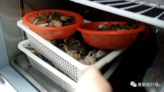 ▲7月16日，胖哥俩肉蟹煲凯德MALL大峡谷店，前一天宰杀的螃蟹没有用完，后厨员工将剩螃蟹放在冰箱里冷藏，看起来已经不是很新鲜。