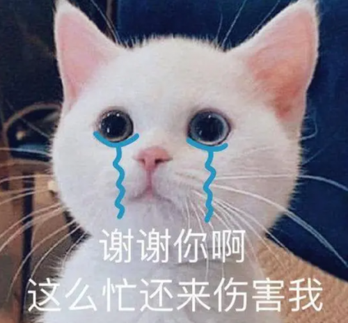 擦亮眼睛！ray面膜背面写着芮一的全都是仿品