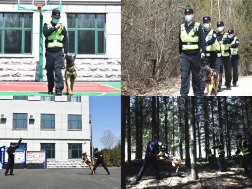 东方红边境检查站三项措施做好警犬日常管理工作