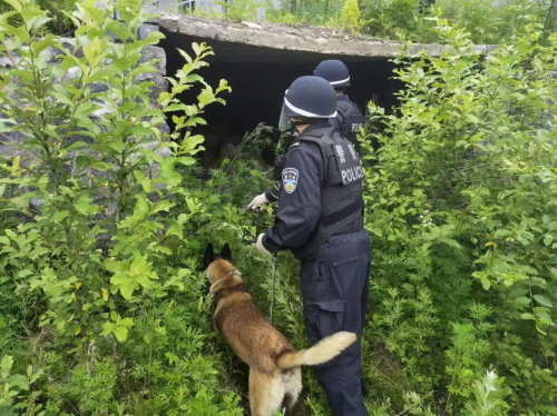 延边边境管理支队二道边境检查站警犬“江战”“犬”力以赴奋战保平安