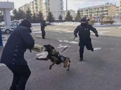 凝心聚力强素质 聚焦实战练精兵