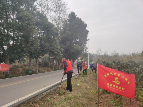 中国二冶西南分公司开展植绿护绿活动