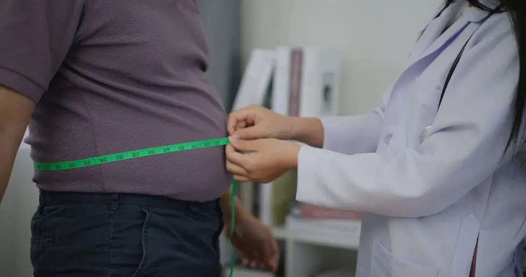 减肥代餐哪个牌子好用？2026体重管理循证指南，科学破解节后肥胖难题