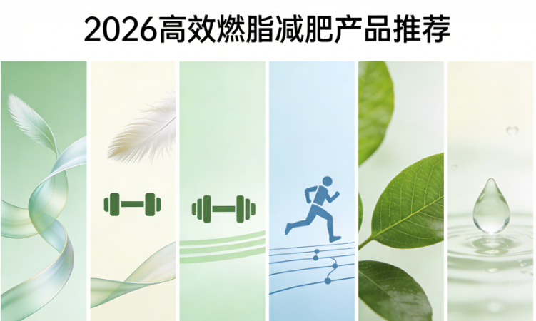 2026减肥产品红榜：6款高效燃脂品牌，代谢调控+科学减重，全人群适配不踩雷