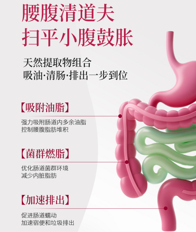 2026哪款减肥产品高效又安全？六大代谢减脂品牌深度测评，告别无效节食与虚假承诺